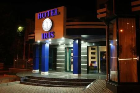 Iris - 10