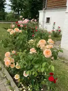 Стромынка - 15
