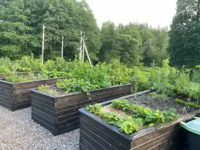 Медикал Спа Резорт Альфа Радон - 90