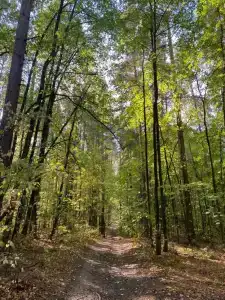 Baza Otdykha Monte-Karlo - 14