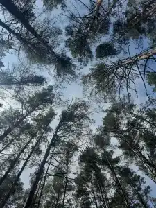 Recreation center Himik - 33