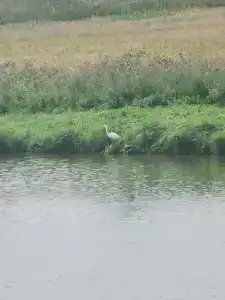 Eko-kompleks Nikolaevskie Prudy - 94