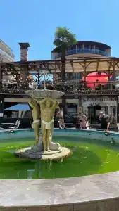 Кардинал - 65