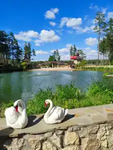 Lesnaya skazka - 4