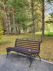 Berezovaya roshcha - 18