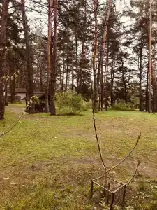 Peskovatka - 26