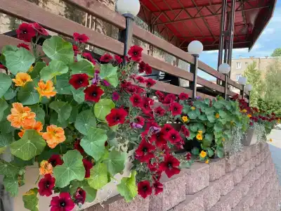 БАГРАТИОН - 92