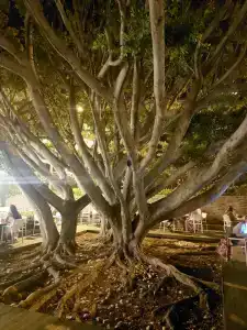 Club Sun Heaven - 76