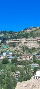 Белые журавли - 47