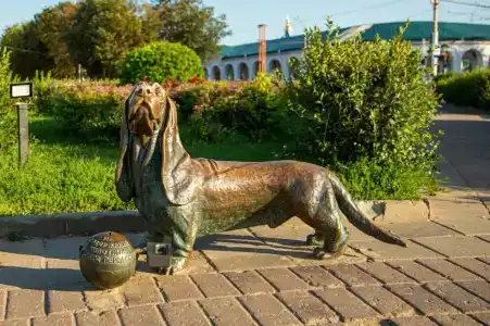 Аристократ Кострома - 91