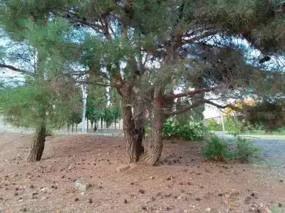 Sevastopol Tourist base - 25