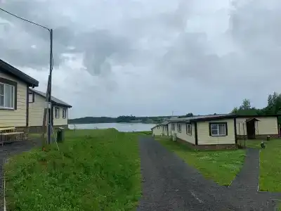 Novinka - 56