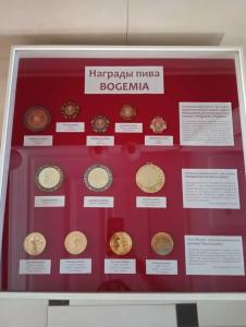 Bogemia on Vavilova Street - 19