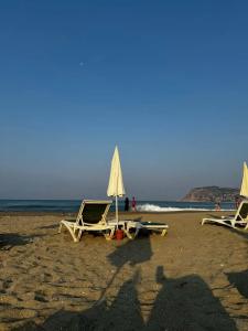 Kaila Krizantem - 13