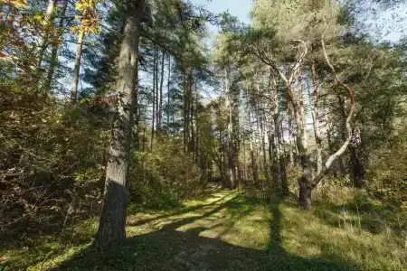 Knyazhyya Rechka Baza Otdykha - 100