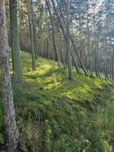 Borovoe Tourist base - 15