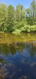 Guest house Biver resort - 24