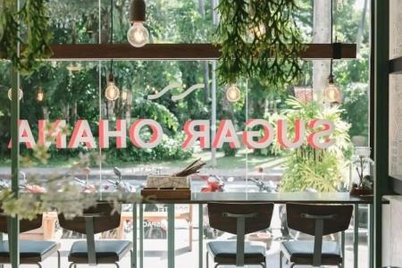 Sugar Ohana Poshtel - 2