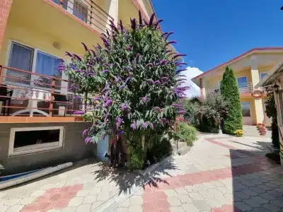 Guest House Moryachka - 5