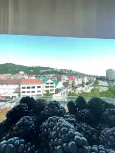 Grand & Spa Priboy - 56