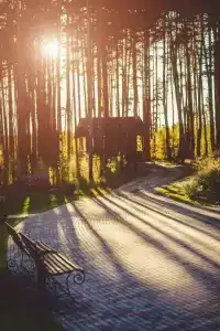 Knyazhyya Rechka Baza Otdykha - 52