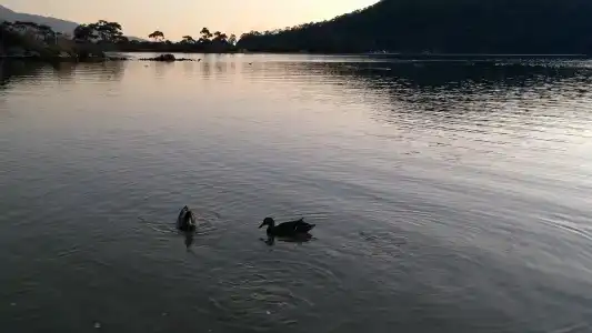 Lagoon Boutique - 25