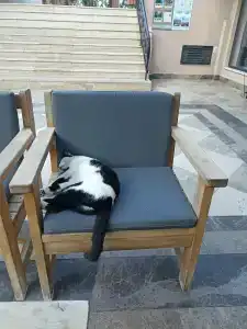 Sarıtaş - All Inclusive - 52