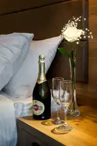 1 i 3 Boutique-hotel - 14