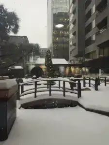 Crowne Plaza Moscow World Trade Centre, an IHG - 49