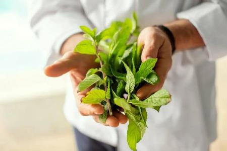 Mediterranean Resort - 23