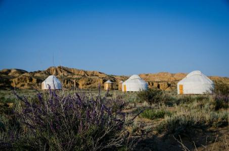 Feel Nomad Yurt Camp - 34