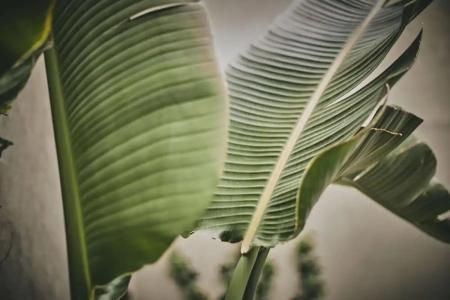 Palma Riad - Adults Only - 52