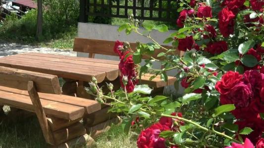 Casa Karina Apart-Hotel - 28