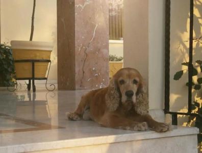 Stella&Spa All Inclusive - 36