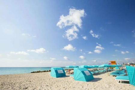 The Palms & Spa - 93