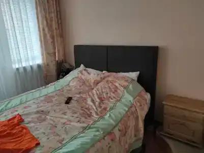 Belovezhskaya pushcha №2 - 32