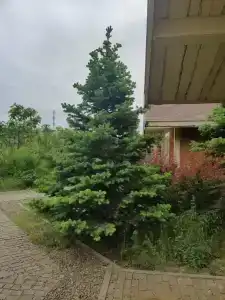 Rassl Country Home - 41