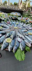 Long Beach Harmony - 13