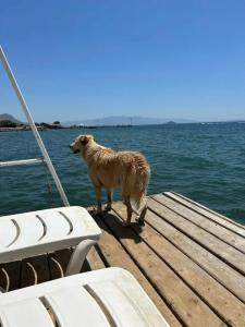 Azure By Yelken - 29