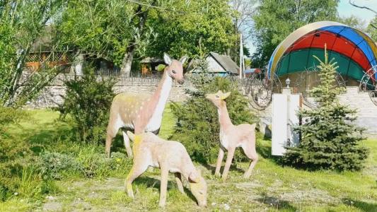 Eko-kompleks Nikolaevskie Prudy - 9