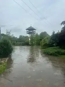 Zagorodny Klub Kura Tse Tse - 26