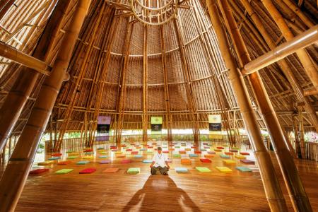 Fivelements Ubud - 22