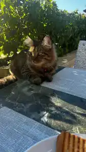 Emre Beach & Emre - 48