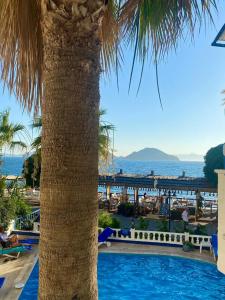 Bodrum Moonlight - 22