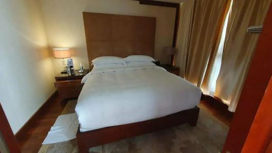 The Ritz-Carlton, - 41