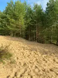 Park semeynogo otdyha Andreevskiy - 85
