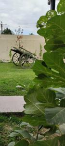 Shik Village Resort & Spa - 36