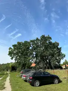 Guest house Karpolov Park - 23