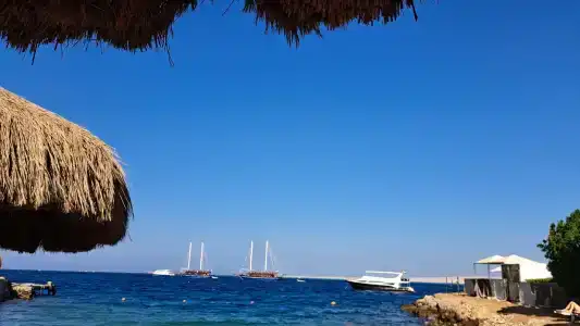 Sun & Sea and Aqua Park - - 1