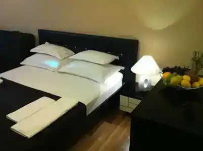 Apartments and rooms Grand Palazzo - 10